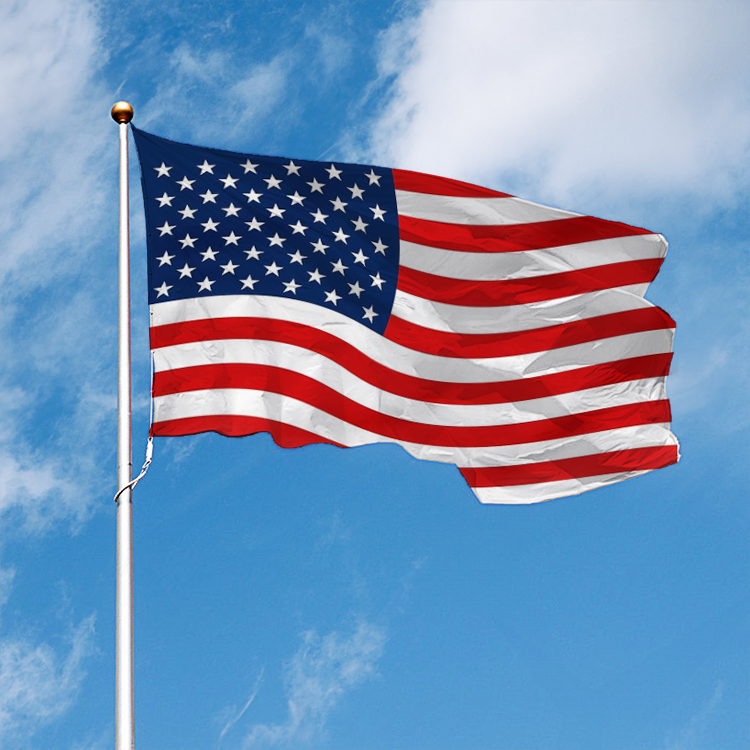 American Flag - Printed